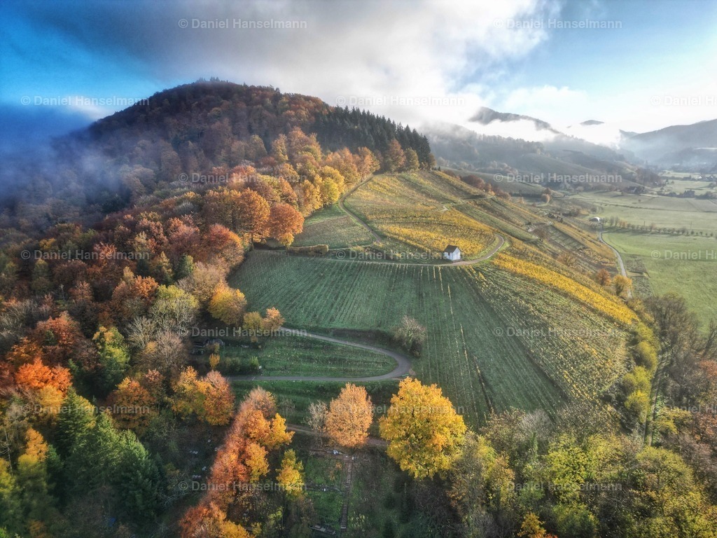Rebhüsli zwischen Denzlingen und Glottertal | default - Realisiert mit Pictrs.com