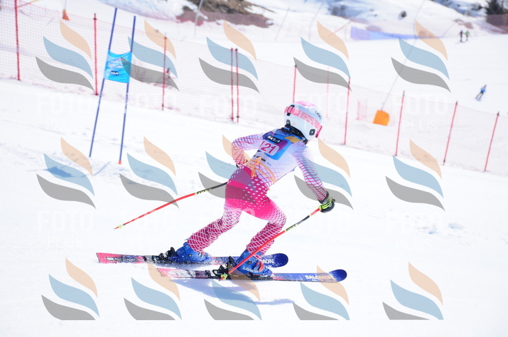 DSC_4981 | holidayphoto