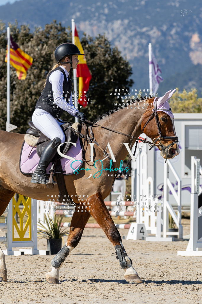 IMG_9541 | s-jay-photography - Realisiert mit Pictrs.com