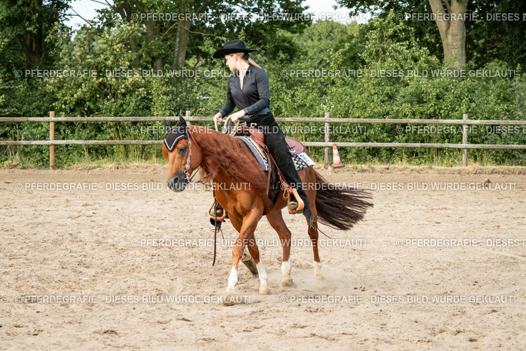 DSC06032 | Pferdegrafie