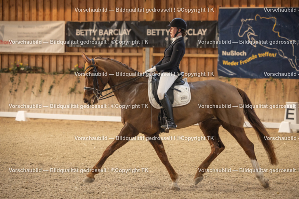 _D5A3583 | Emotionale Pferde- & People-Fotografie rund um Heidelberg, Leimen & Umgebung. Natürliche Fotos von Pferd, Mensch & Familie. Jetzt Termin sichern!