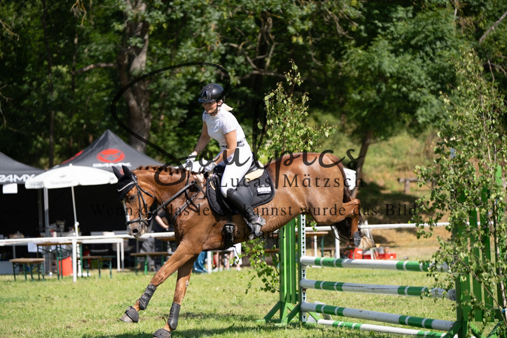 A7V05475 | Pferdefotograf