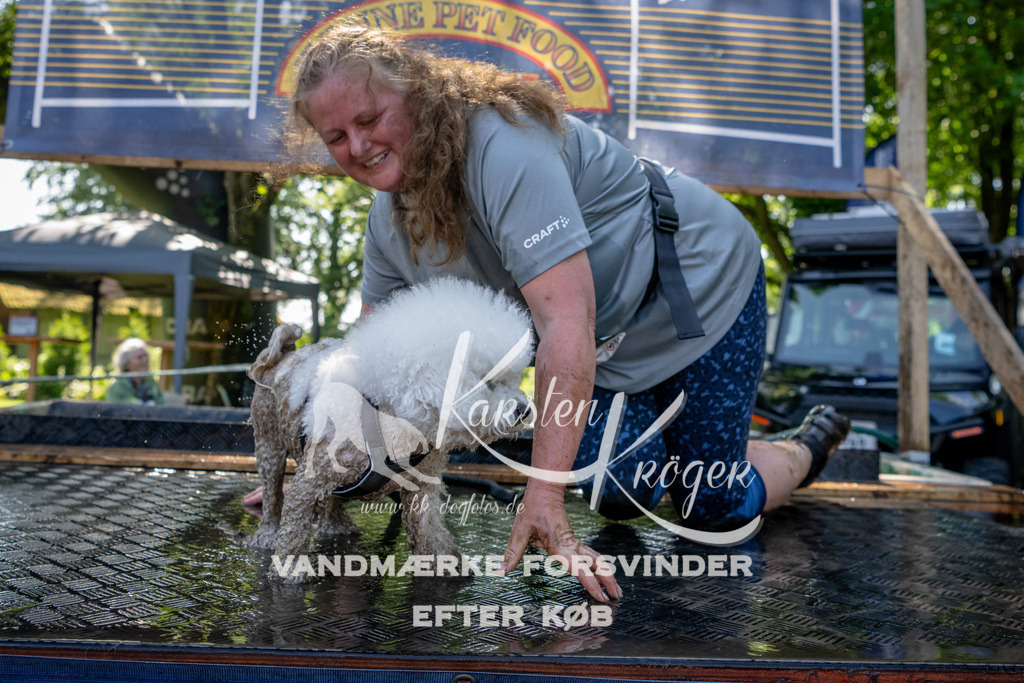 1517_ZZ90783 | kk-dogfotos