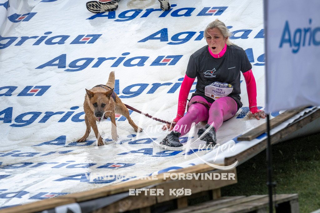 1556_ZZ96997 | kk-dogfotos