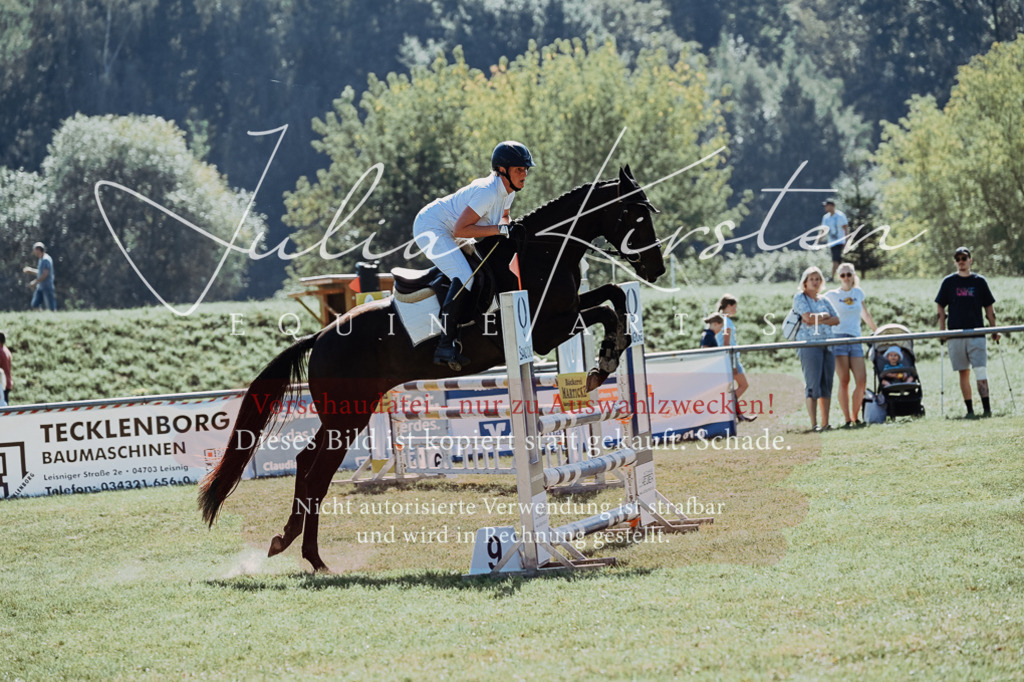 DSC_5694 | Pferde- und Turnierfotografie in Westsachsen. Pferdeportraits, Auftragszeichnungen und intuitive Kunst.