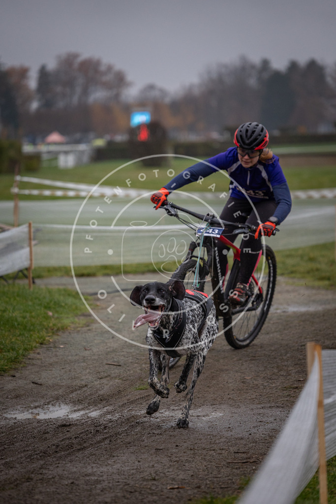 CaniXpix_0L8A1426 | Hundefotografie, Tierfotograf, Pfotenfotografie, Fotoshooting Hund, Hunde Portrait, Hundesport, Hundeportraits, Heideshooting, Hunde, Sportfotograf, Hundefotograf, Turnierhundsport, THS,  - Realisiert mit Pictrs.com