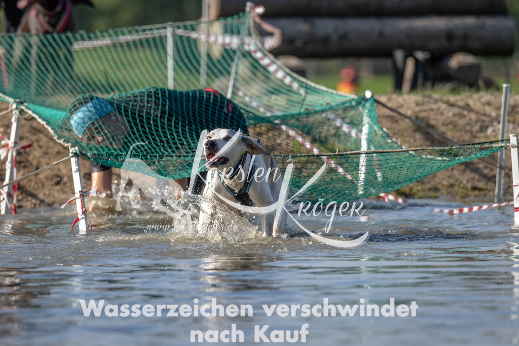 1122_ZZ92543 | kk-dogfotos