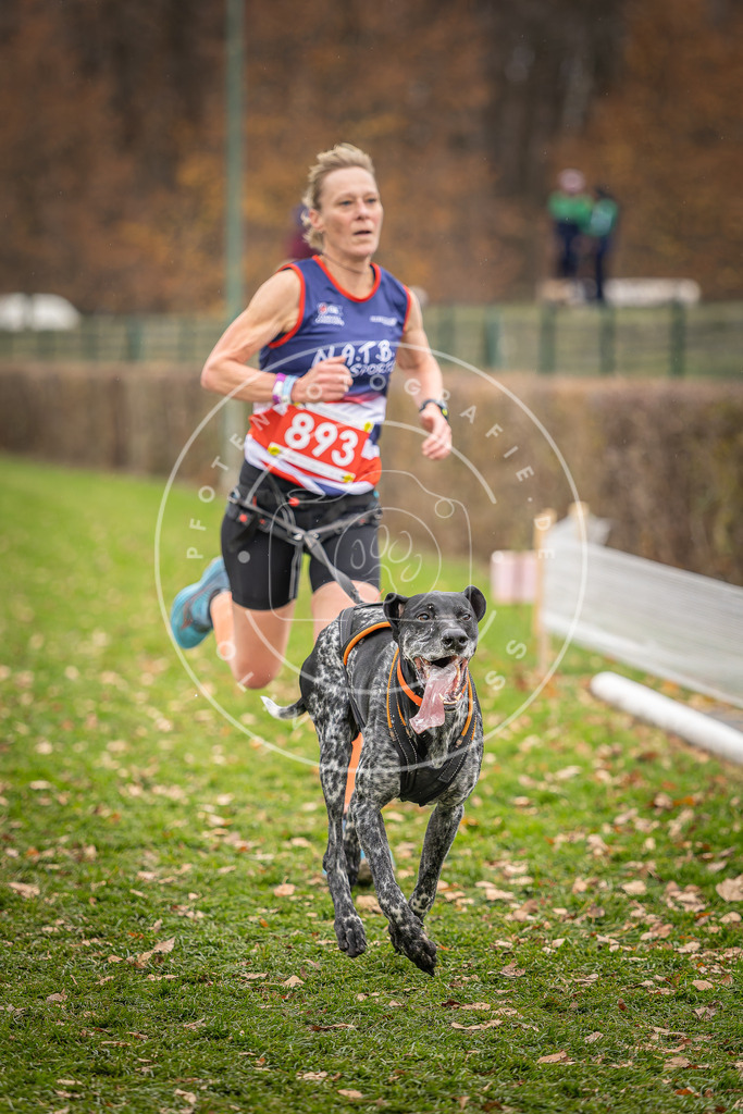 CaniXpix_DV3A6838 | Hundefotografie, Tierfotograf, Pfotenfotografie, Fotoshooting Hund, Hunde Portrait, Hundesport, Hundeportraits, Heideshooting, Hunde, Sportfotograf, Hundefotograf, Turnierhundsport, THS,  - Realisiert mit Pictrs.com