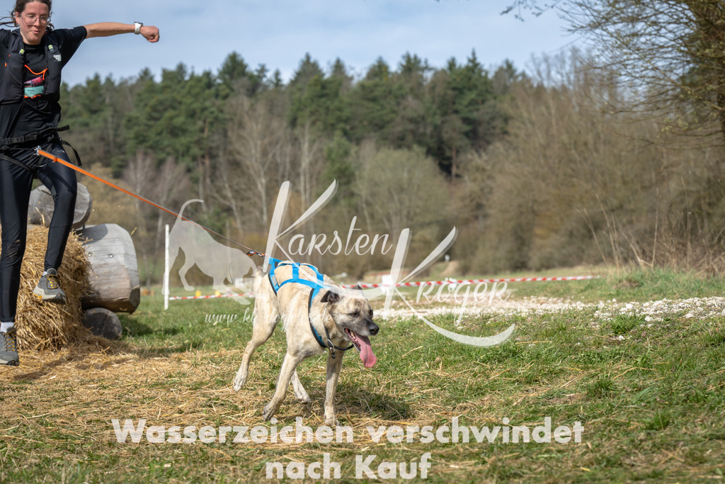 1050_ZZ94137 | kk-dogfotos