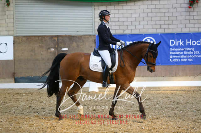 IMG_2599 | Turnierfotos kaufen im Webshop von Daniel Kuhl Photography – entdecke professionelle Reitsportfotos aus Turnieren & Events. Hochwertige Turnierbilder online bestellen & sichern. Jetzt Fotos von Reitsportturnieren kaufen!