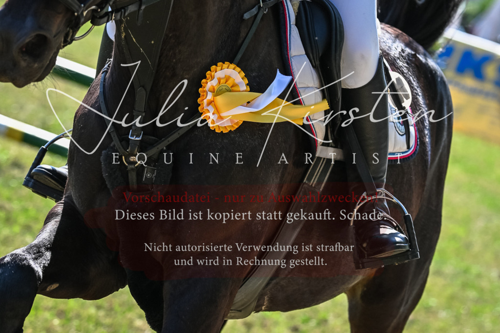 DSC_1792 | Pferde- und Turnierfotografie in Westsachsen. Pferdeportraits, Auftragszeichnungen und intuitive Kunst.