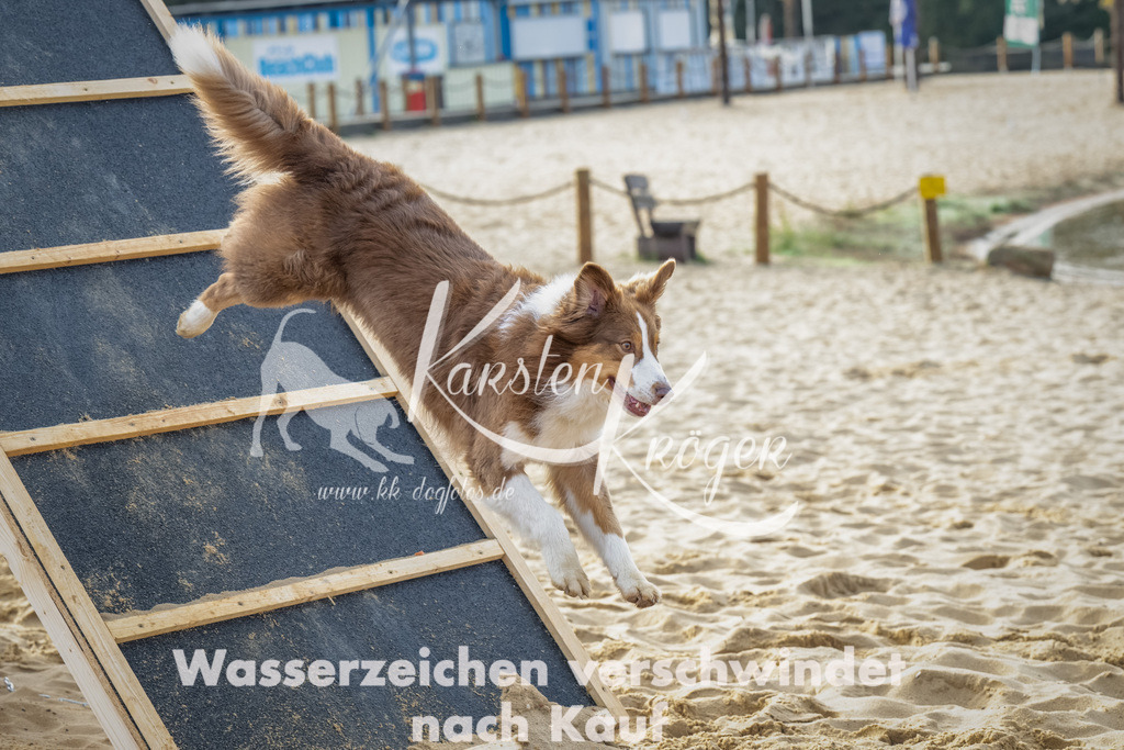 0927_ZZ92427-Bearbeitet | kk-dogfotos