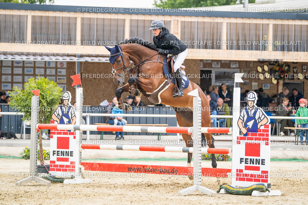 DSC02813 | Pferdegrafie