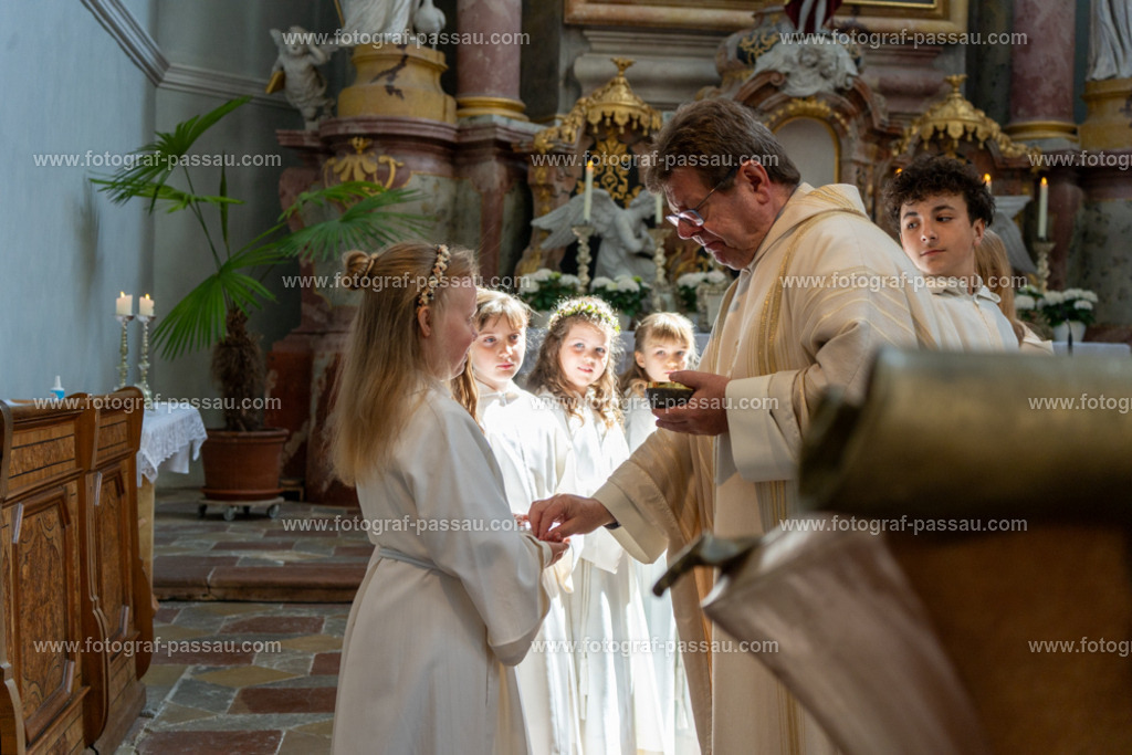 A7V02817 | Hier finden Sie die Online Foto-Galerie von fotograf-passau.com und marius-handrugan.de. Suchen Sie sich direkt Ihre Lieblingsbilder aus, ob als Ausdruck oder Download. - Realisiert mit Pictrs.com