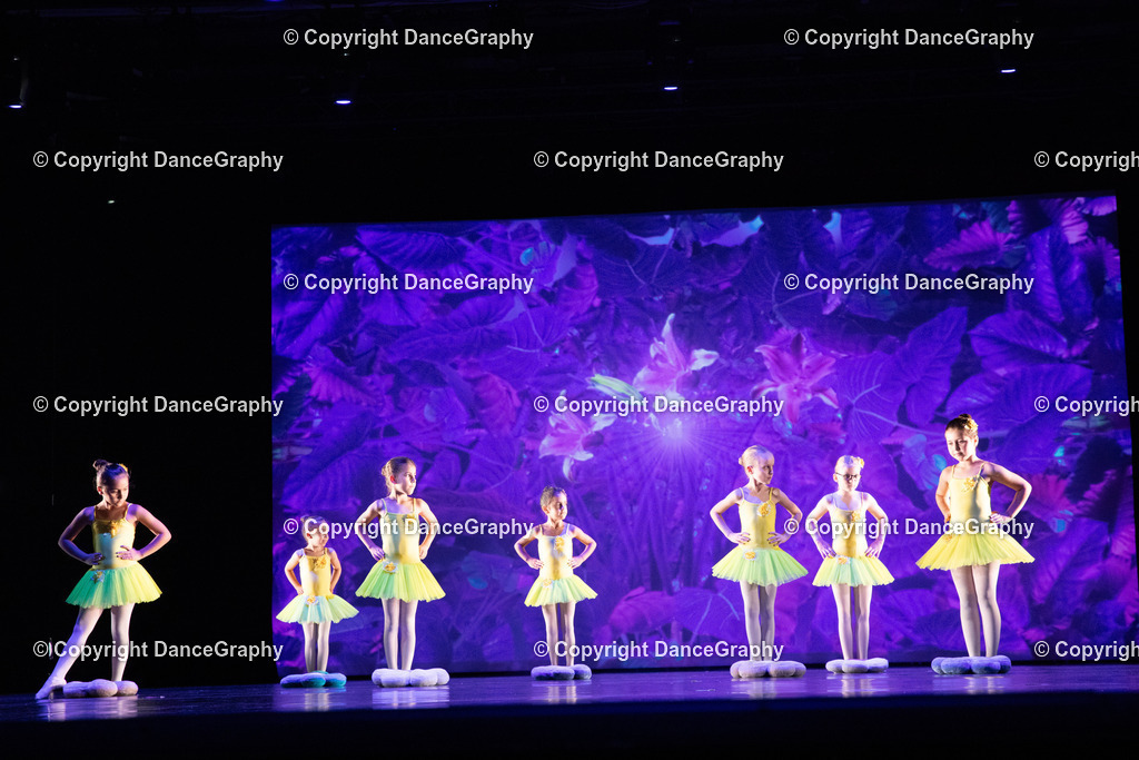 GPHY6245 | DanceGraphy - Realisiert mit Pictrs.com