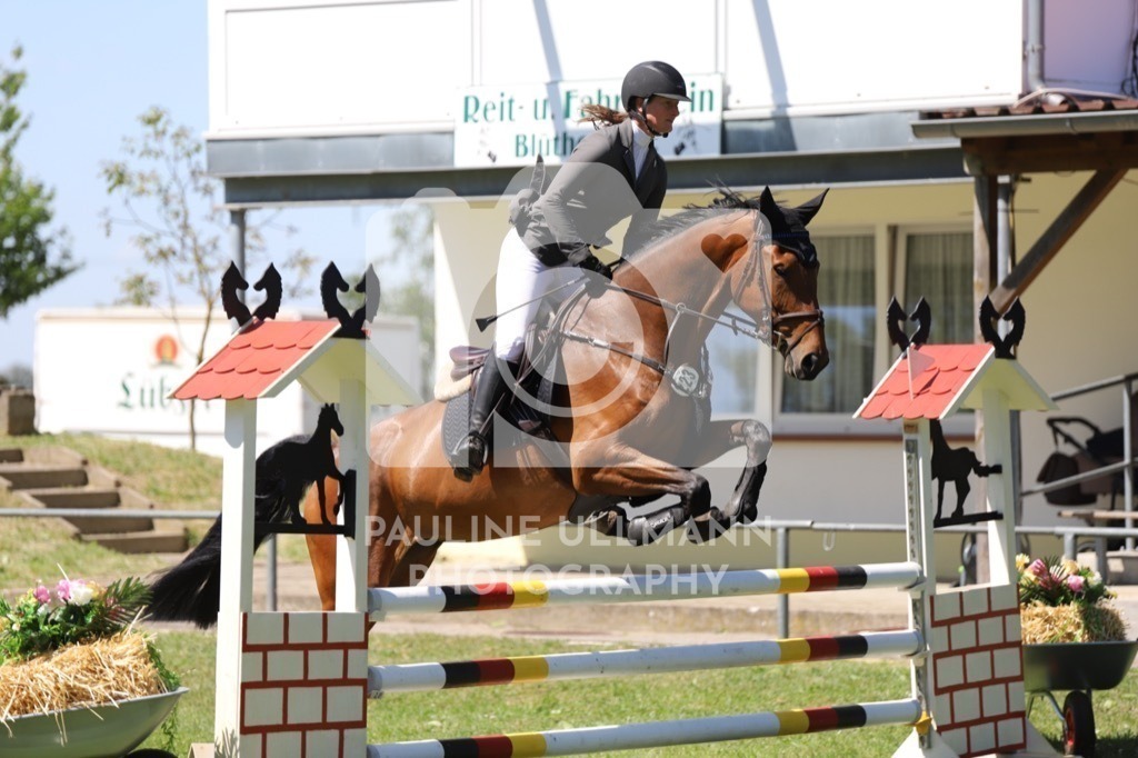 IMG_6311 | Pauline Ullmann Photography - Realisiert mit Pictrs.com