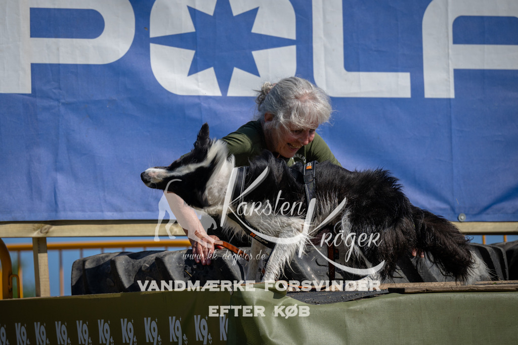 1117_ZZ91081 | kk-dogfotos