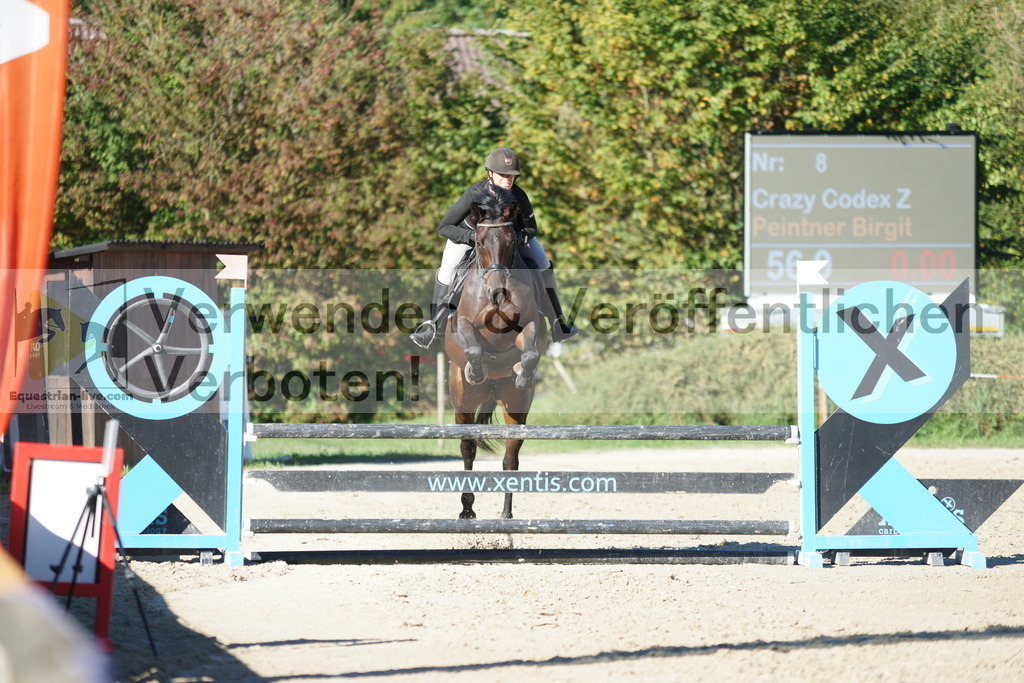 DSC08293 | equestrian-live-com