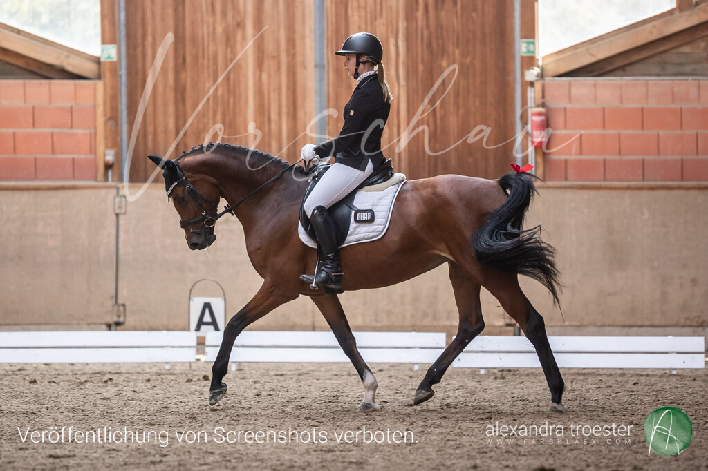 250913_Barop_09_220 | Farbklaex - Turnierfotografie - Realisiert mit Pictrs.com