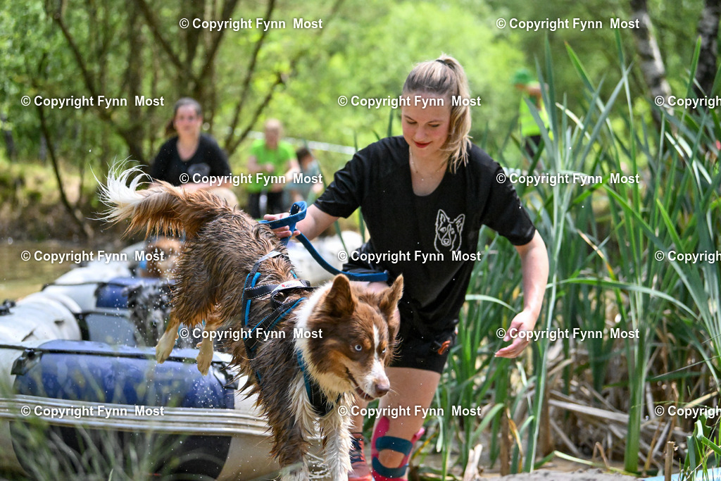 DSC_6500 | Hallo und herzlich Willkommen auf meiner Shop-Seite Fynn Most.

Ich wünsche Dir viel Spaß beim stöbern durch die Bilder, wenn Du Fragen hast oder Bilder vermisst, kannst du mir gerne eine Nachricht schreiben. - Realisiert mit Pictrs.com