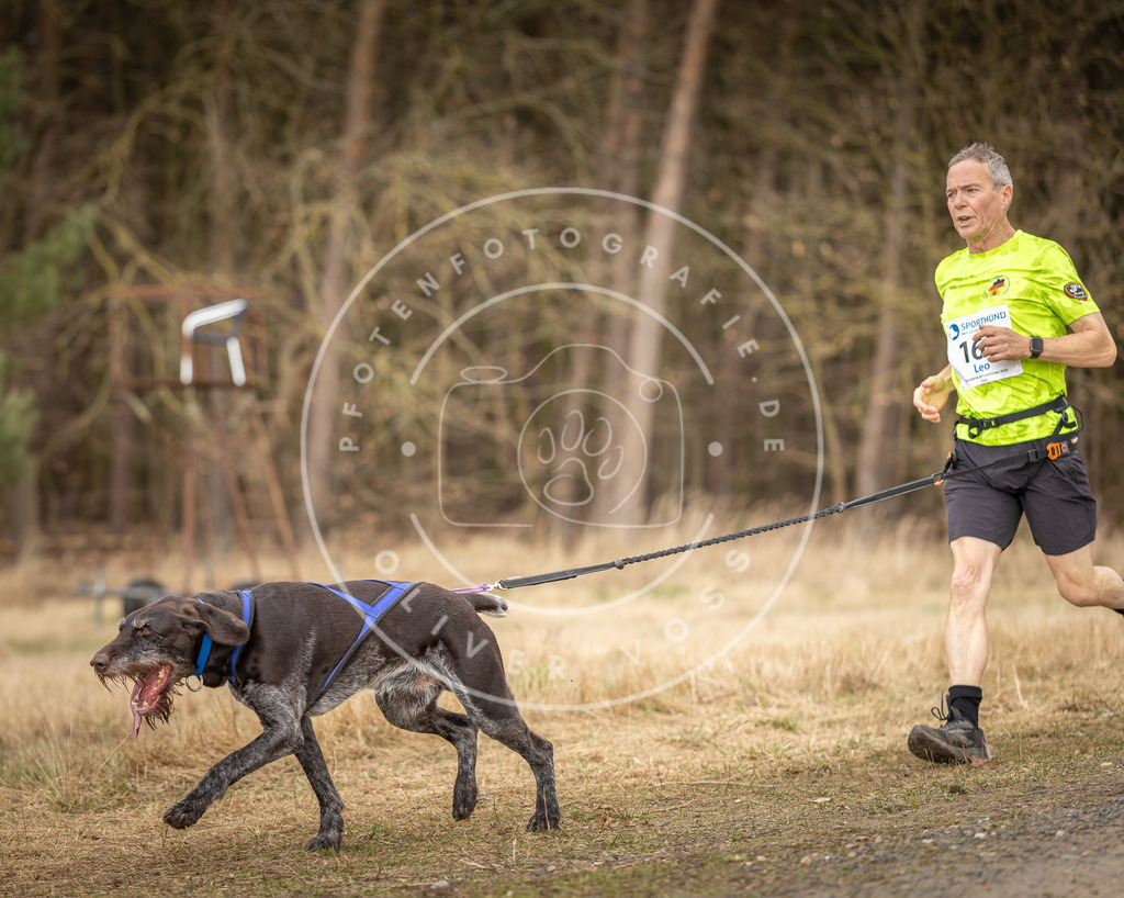DV3A5267 | Hundefotografie, Tierfotograf, Pfotenfotografie, Fotoshooting Hund, Hunde Portrait, Hundesport, Hundeportraits, Heideshooting, Hunde, Sportfotograf, Hundefotograf, Turnierhundsport, THS,  - Realisiert mit Pictrs.com