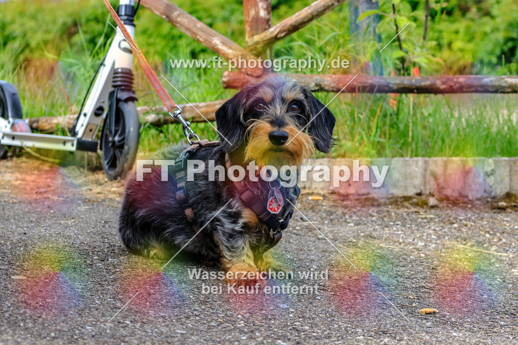 MotoTeam-1608 | Hier findet Ihr Bilder von Touristenfahrten auf der Nürburgring Nordschleife oder von anderen Veranstaltungen die ich besucht habe. Viel Spass beim Durch Schauen 