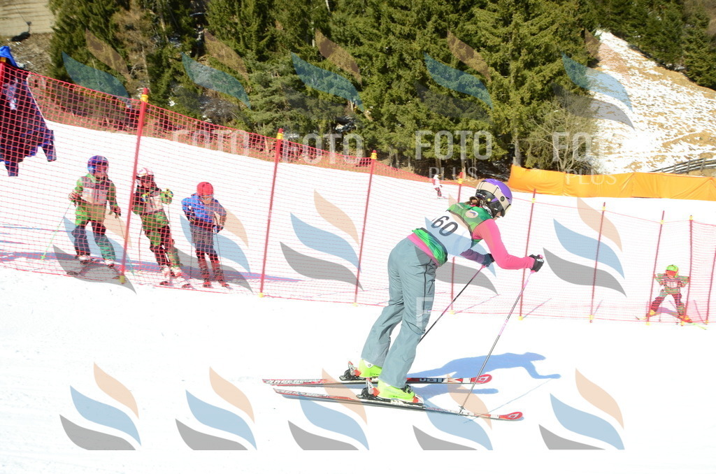 C6205 | holidayphoto