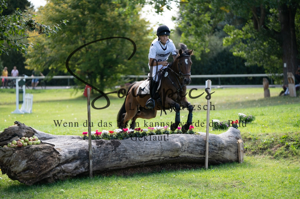 A7V03829 | Pferdefotograf