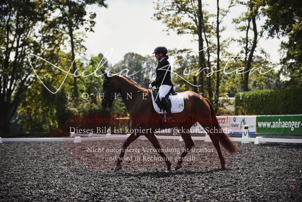 DSC_4087 | Pferde- und Turnierfotografie in Westsachsen. Pferdeportraits, Auftragszeichnungen und intuitive Kunst.