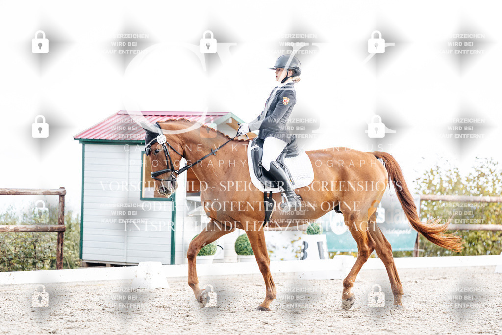 CK900670 | Turnierfotografie Pferdefotografie Trier Rheinland-Pfalz Pferdesport Reitsport Tierfotografie Sportfotografie Pferdevideo Pferdevideografie Equestrianvideography equestrianphotography  - Realisiert mit Pictrs.com