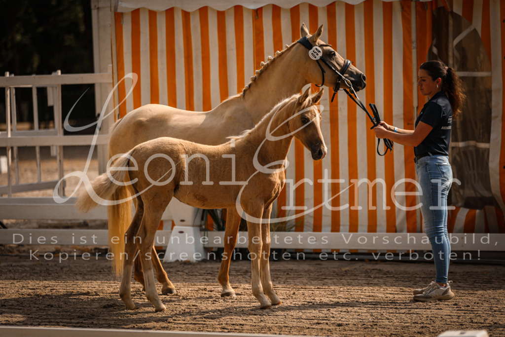 10.DoRP00003 | Leoni Ertmer Photography - Realisiert mit Pictrs.com