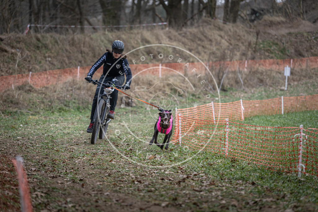 Pfotenfotografie_DV3A9580 | Hundefotografie, Tierfotograf, Pfotenfotografie, Fotoshooting Hund, Hunde Portrait, Hundesport, Hundeportraits, Heideshooting, Hunde, Sportfotograf, Hundefotograf, Turnierhundsport, THS,  - Realisiert mit Pictrs.com
