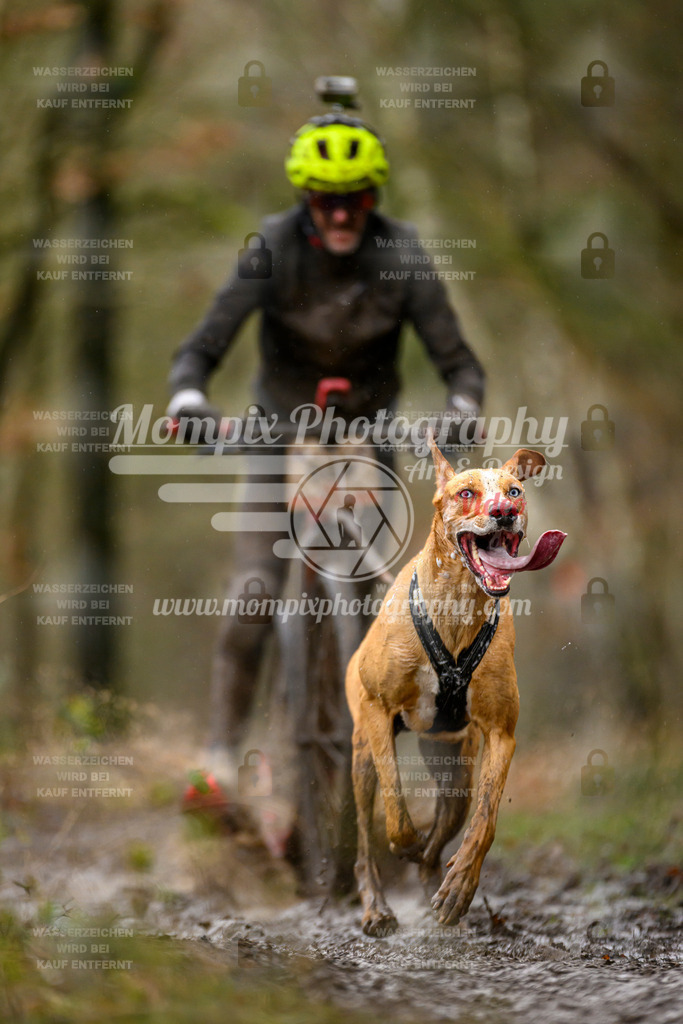 MompixPhotography_CDSM24_SA_DS1-26 | PayLife