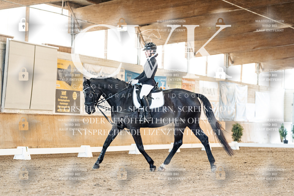 CK907003 | Turnierfotografie Pferdefotografie Trier Rheinland-Pfalz Pferdesport Reitsport Tierfotografie Sportfotografie Pferdevideo Pferdevideografie Equestrianvideography equestrianphotography  - Realisiert mit Pictrs.com