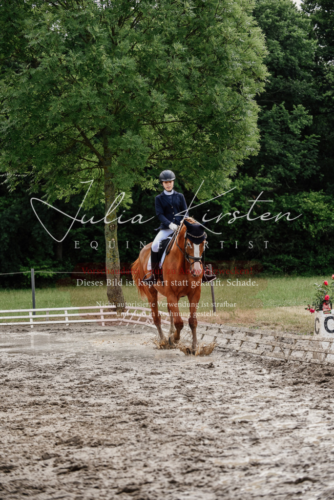 DSC_9970 | Pferde- und Turnierfotografie in Westsachsen. Pferdeportraits, Auftragszeichnungen und intuitive Kunst.