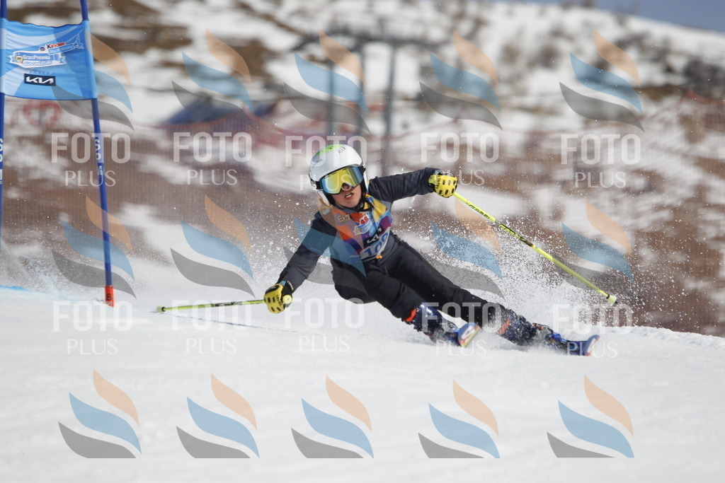 _U3G0471 | holidayphoto