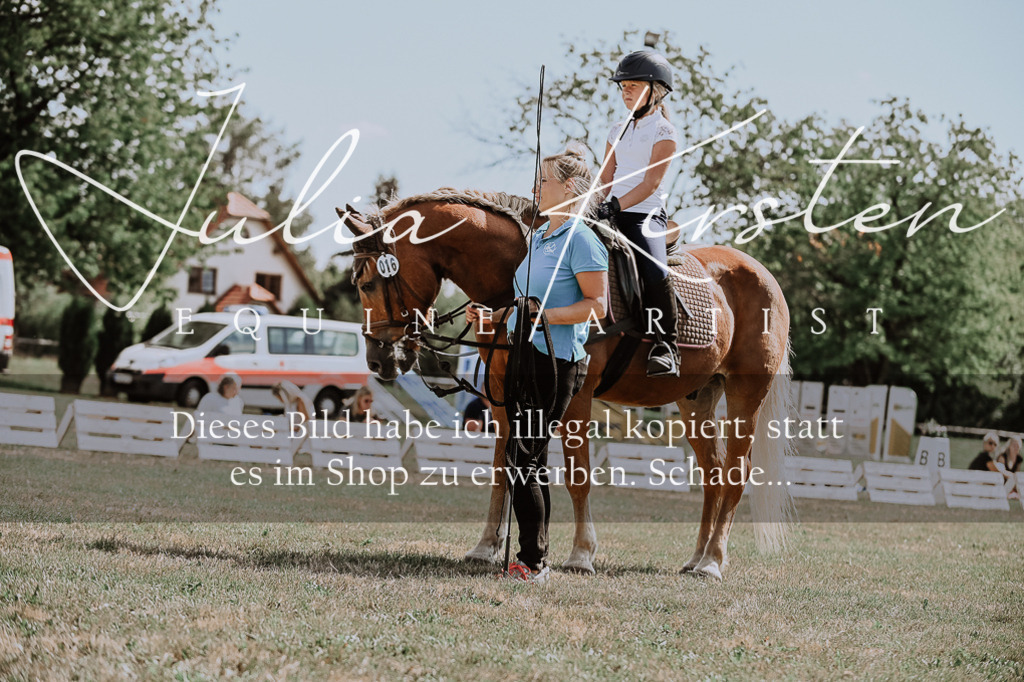 DSC_7837 | Pferde- und Turnierfotografie in Westsachsen. Pferdeportraits, Auftragszeichnungen und intuitive Kunst.