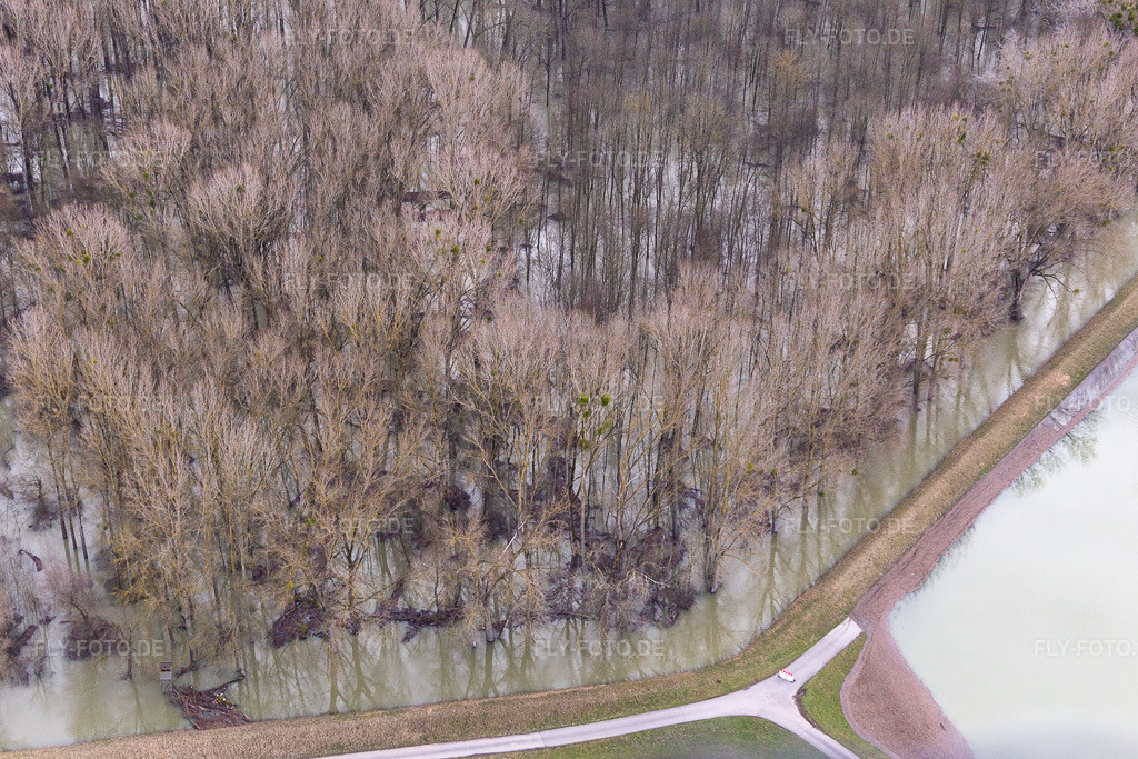 Luftbild: Überfluteter Altrhein Hörnel in Wörth am Rhein im Bundesland Rheinland-Pfalz in Deutschland. Foto: IMG_124218.jpg vom 04.02.2021 durch Werner Riehm/FLY-FOTO.de
