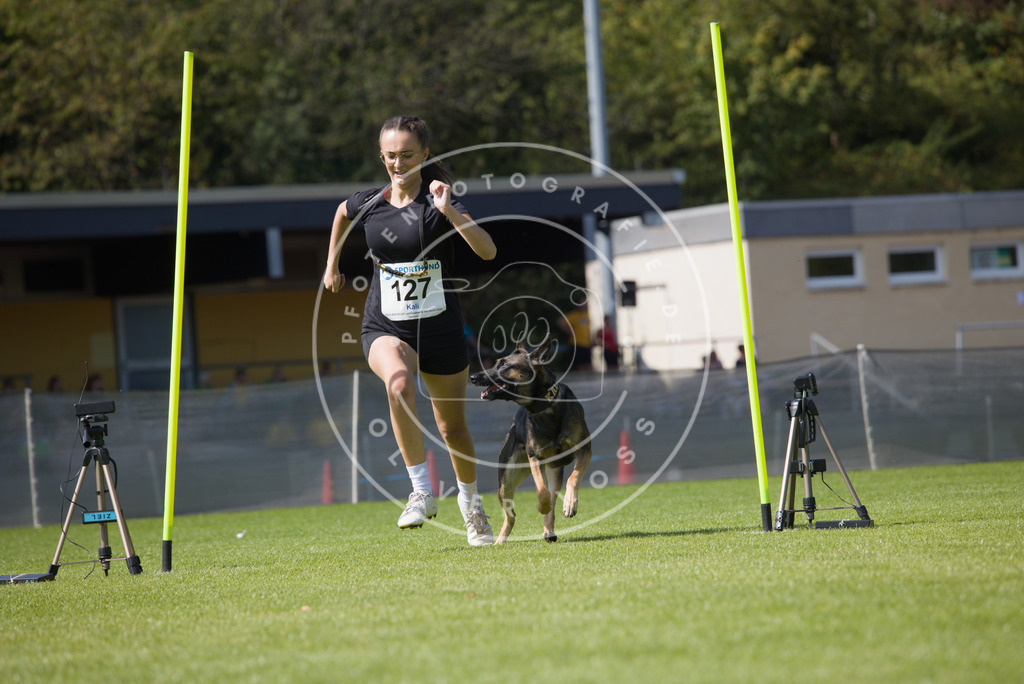 0L8A2881 | Hundefotografie, Tierfotograf, Pfotenfotografie, Fotoshooting Hund, Hunde Portrait, Hundesport, Hundeportraits, Heideshooting, Hunde, Sportfotograf, Hundefotograf, Turnierhundsport, THS,  - Realisiert mit Pictrs.com