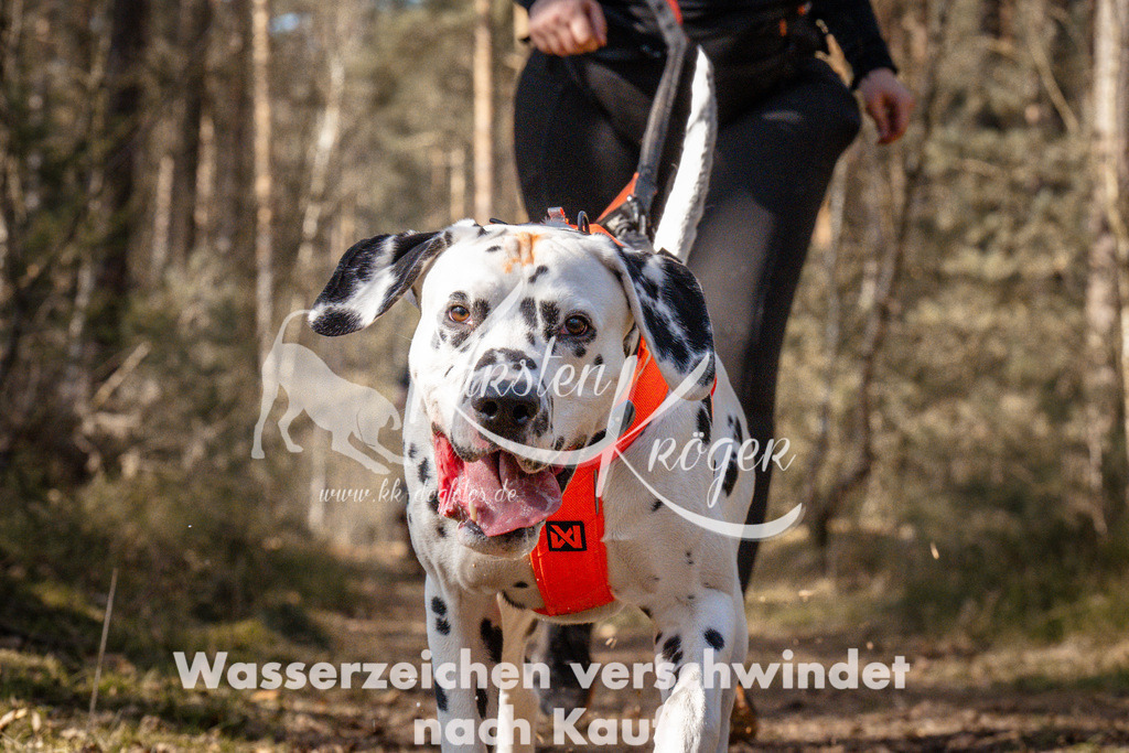 1229_ZZ93673 | kk-dogfotos