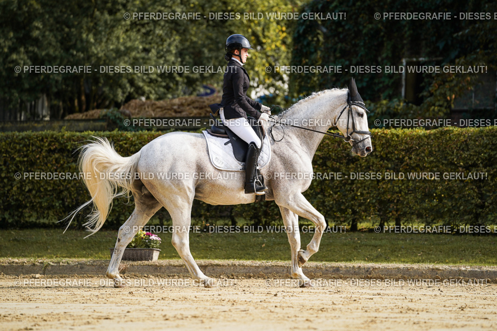 DSC05672 | Pferdegrafie