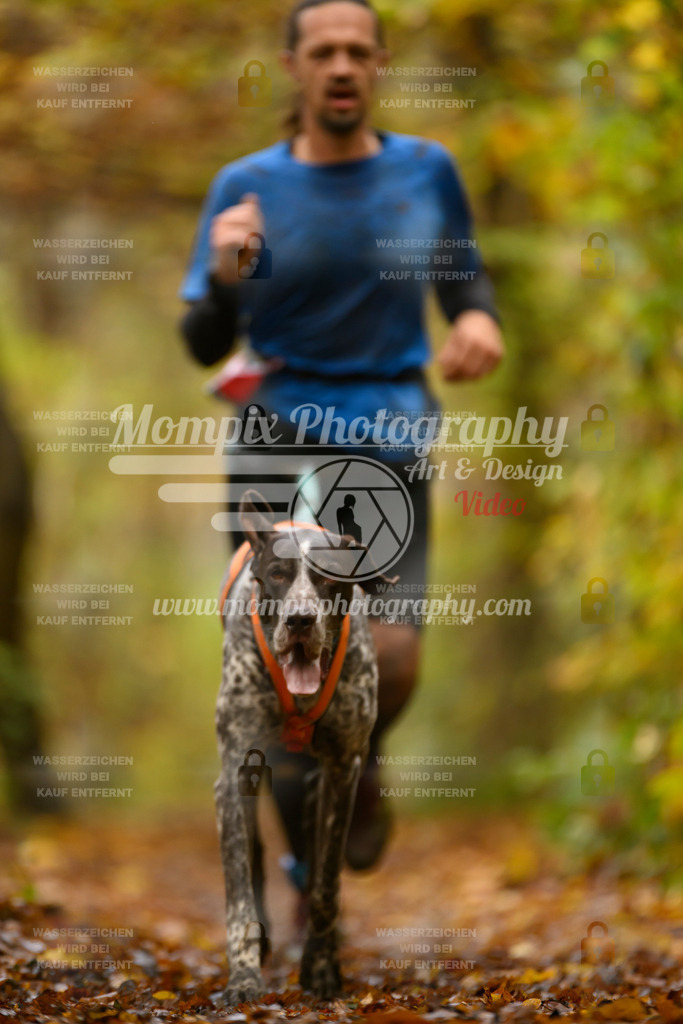 MompixPhotography_CD7S_DI_CCL-56 | mompixphotography