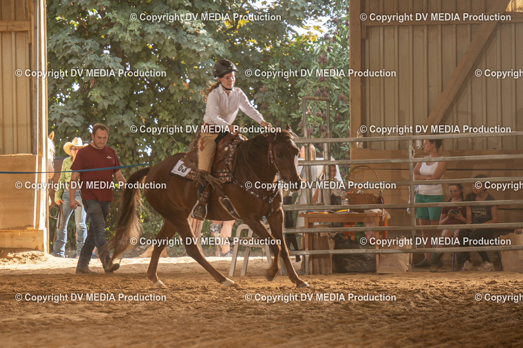 NID03665 | dv-media-shop - Realisiert mit Pictrs.com