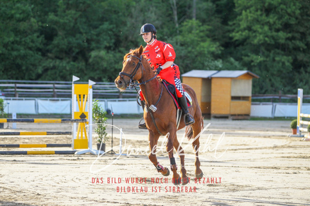 DKP45141 | Turnierfotos kaufen im Webshop von Daniel Kuhl Photography – entdecke professionelle Reitsportfotos aus Turnieren & Events. Hochwertige Turnierbilder online bestellen & sichern. Jetzt Fotos von Reitsportturnieren kaufen!