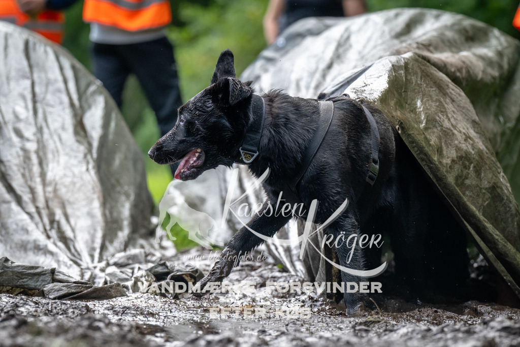 1058_ZZ93159 | kk-dogfotos