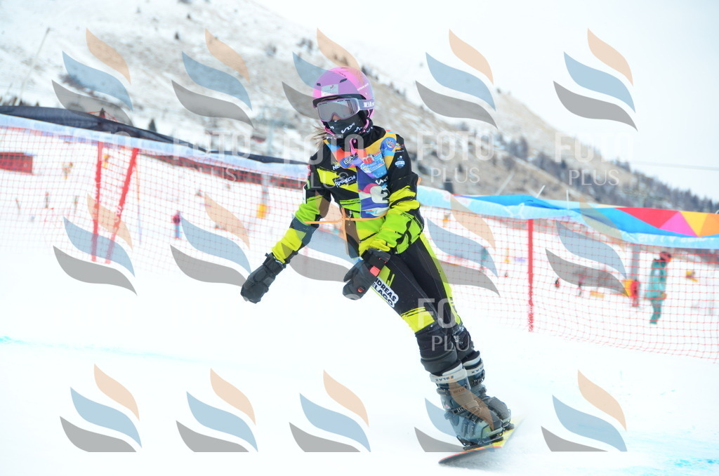 DSC_2285 | holidayphoto