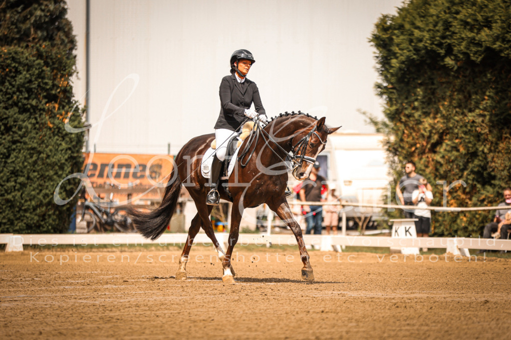 16.SaDrM00008 | Leoni Ertmer Photography - Realisiert mit Pictrs.com