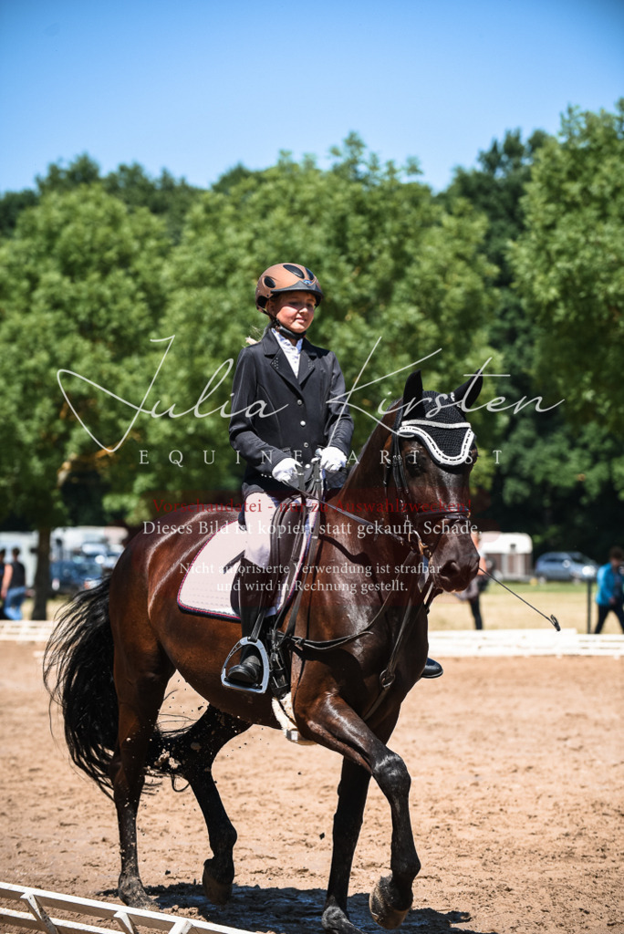 DSC_2780 | Pferde- und Turnierfotografie in Westsachsen. Pferdeportraits, Auftragszeichnungen und intuitive Kunst.