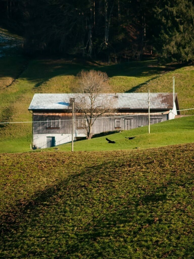 PSX_20221208_230154 | mtkfoto_ - Realisiert mit Pictrs.com