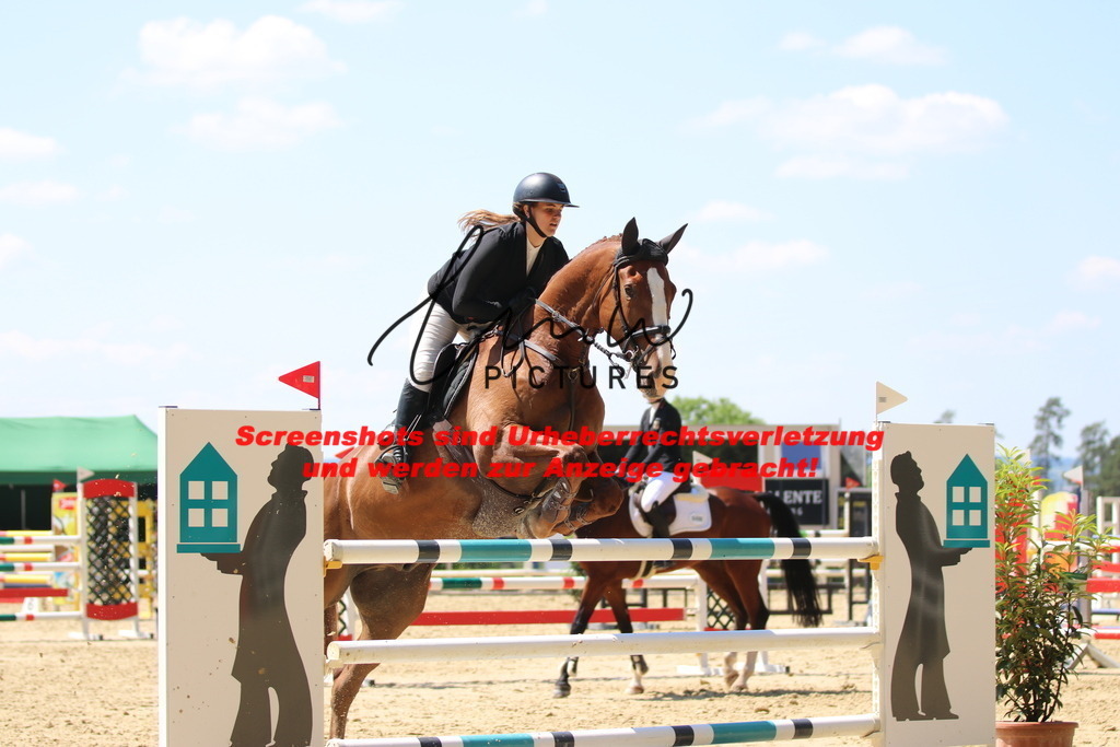 IMG_2650 | lmwpictures - Realisiert mit Pictrs.com